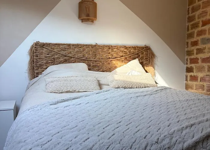 Duplex Climatise Avec Parking Et Borne Electrique Mandelieu