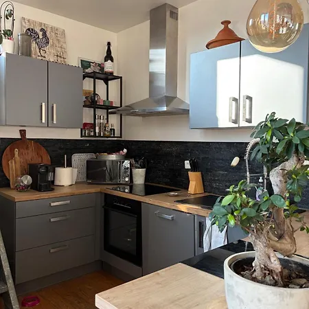 דירה Duplex Climatise Avec Parking Et Borne Electrique